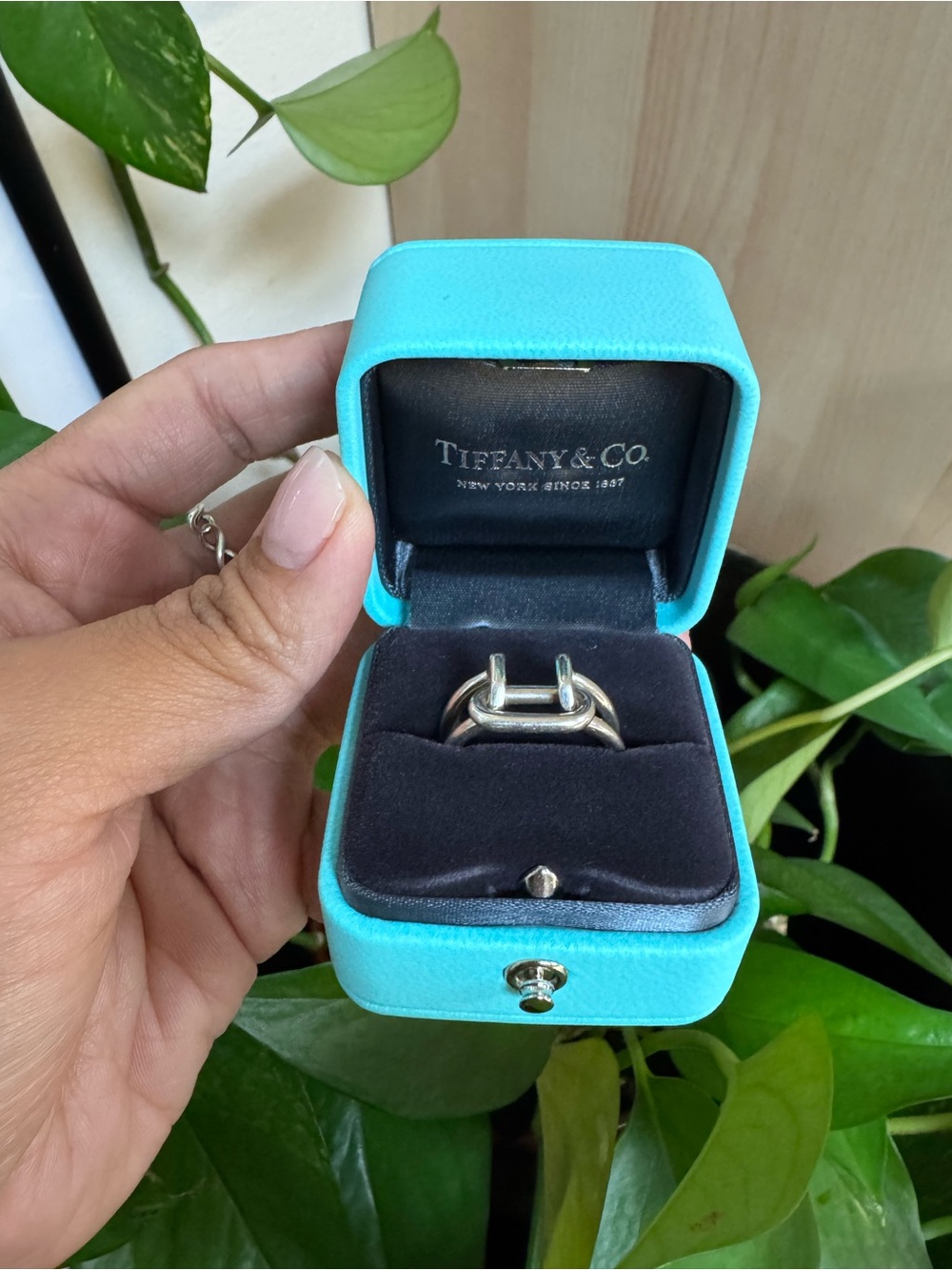 Tiffany & Co. Two-Row Ring with Signature Blue Box